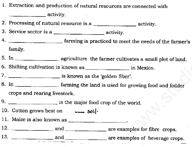 cbse-class-8-social-science-assignment-set-j